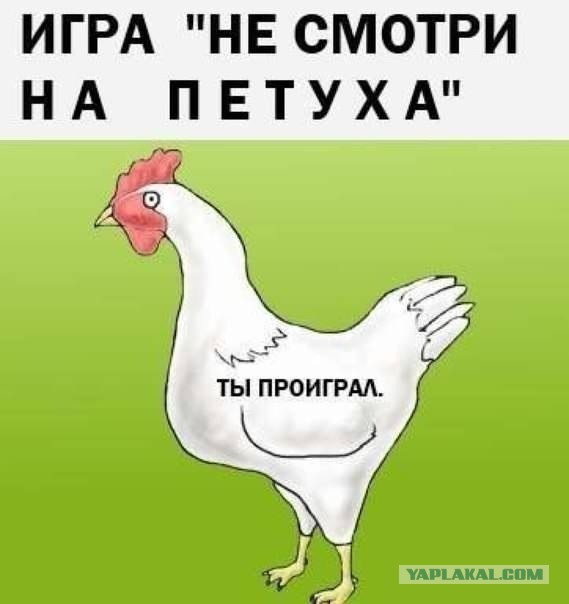 Абсурд зашкаливает