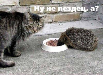 Ты шта такое?! Я те ща покажу кто я такой!