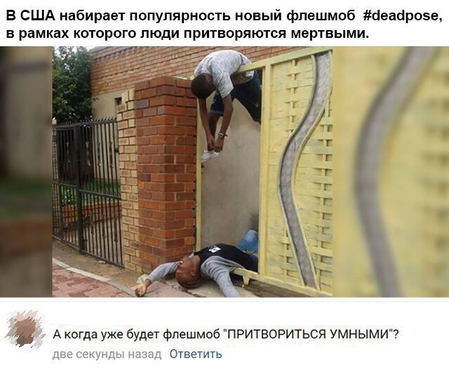 Ужасы и приколы из соцсетей 18+