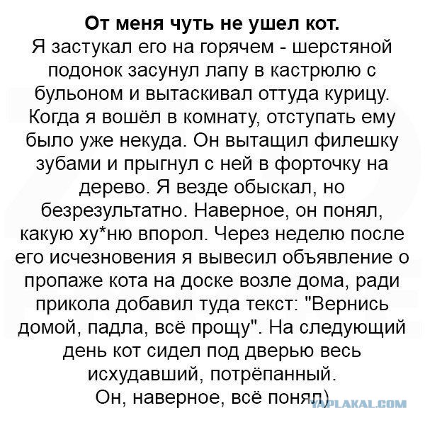 Смешные комментарии из социальных сетей 17.02.2016