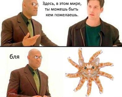 Картинки ИЗ сети