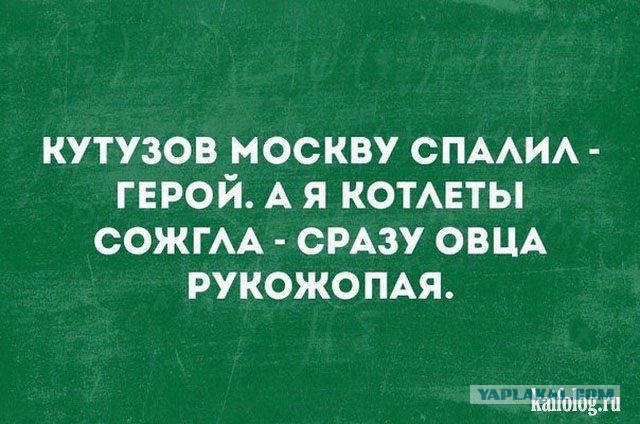 Подборка перлов и высказываний