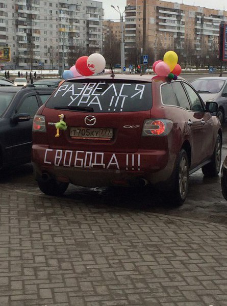 Подборка безудержного веселья