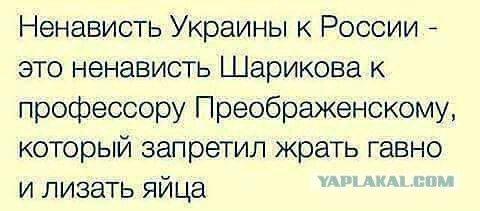 Порошенко посетовал на похищение киевлянки Анны Ярославны в историю России