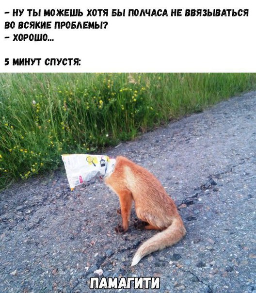 Подборка интересных и веселых картинок