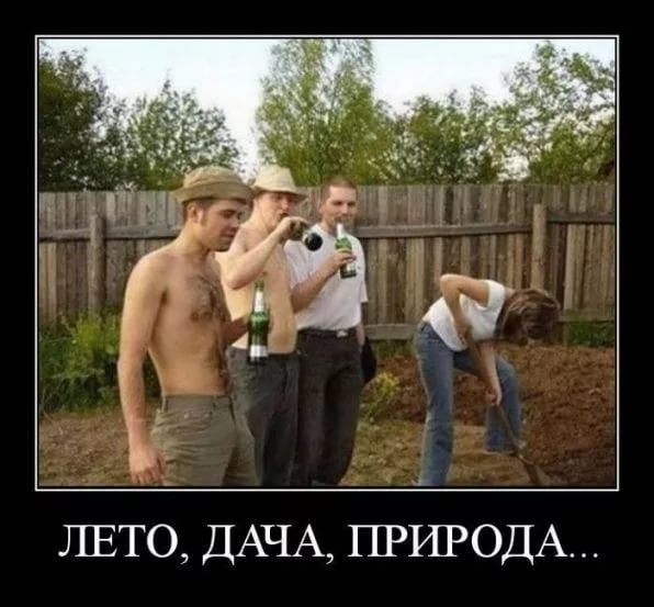 Беларусы капаюць бульбу