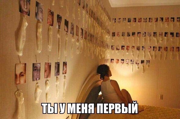 Скотсети и прочие интернеты 12.02.18