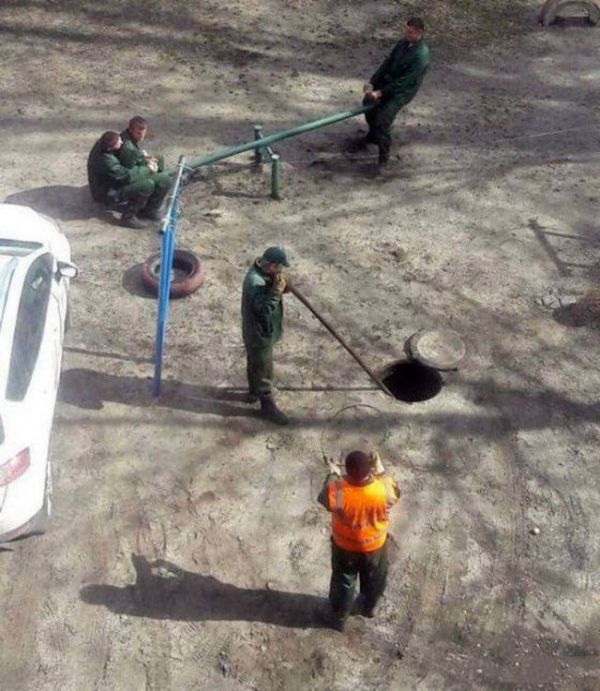 Лента прикольных картинок