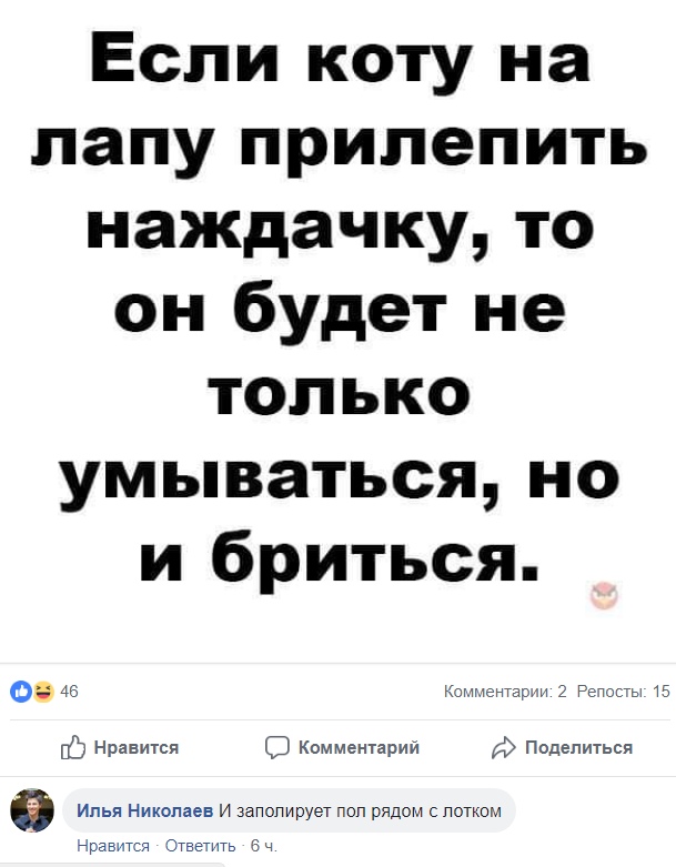 Смешные комментарии из социальных сетей 02.11.2018