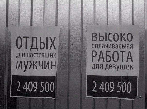 Лента прикольных картинок