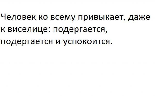 Прикольные комментарии и высказывания из Сети 12.12.2018