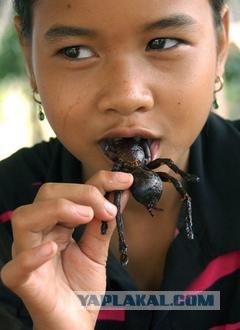 Симпатяжка