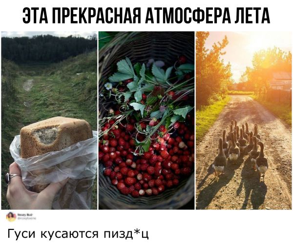 Картинки с надписями,истории и анекдоты