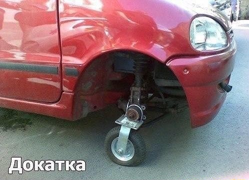 Применим физику в постели или белка и стрелка. Картинки