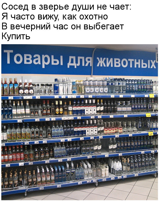 13607947.jpg