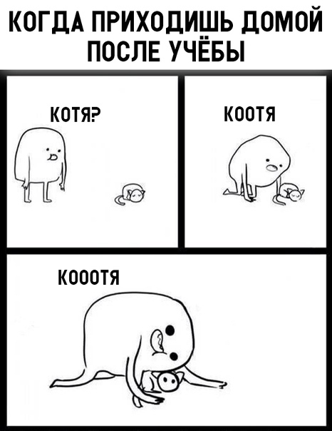 Чуток картинок! 30.10.19