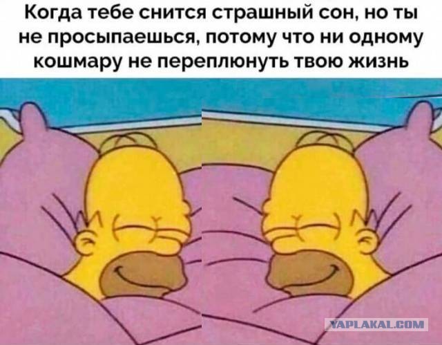 Немного картинок для настроения 04.01.20