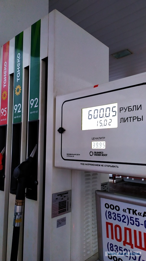 Достижения плешивого за 20 лет