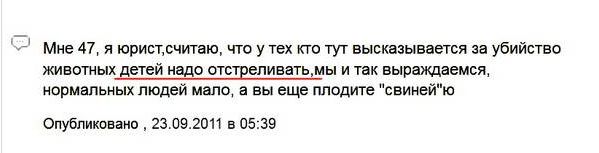 Онжеребенок