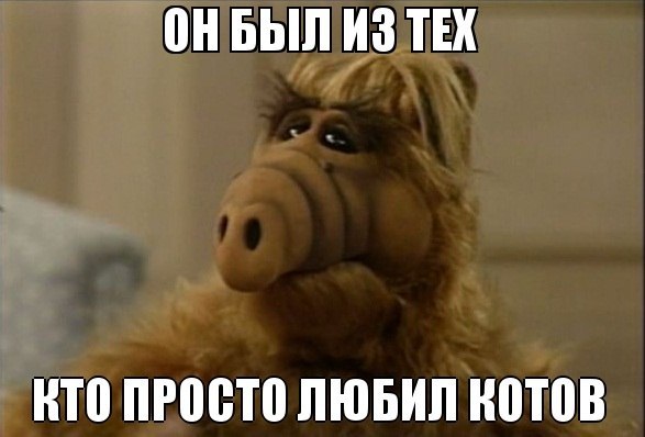 Помните сериал "Альф"? Интересные факты о легендарном ситкоме 80-х и 90-х