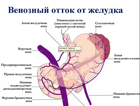 Шоу маст гоу он по-китайски