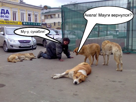 Лучший друг человека.... или наоборот!?