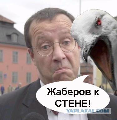 Привет из Эстонии