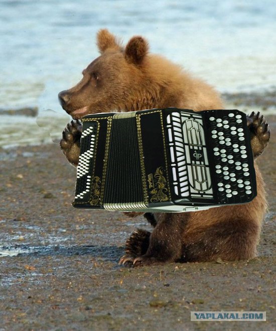 Маша-а-а!Аууууу!