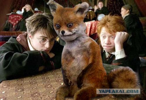 Таксидермия + наркомания