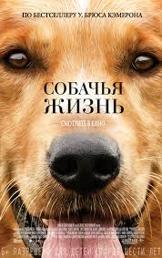 Бим и Хатико