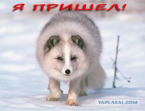 Ужасная авария в Южной Корее
