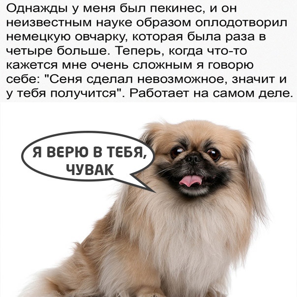 Кретинизмы из ЛМ и ЛЩ 15.03.2021