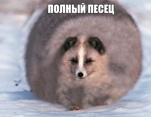 Там опасно! Да ерунда, ручеёк небольшой! Смотри как я проскочу!