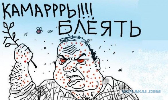 Как много нас летает