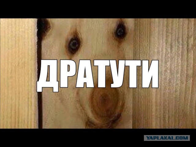Почему девушки выбирают мужчин гораздо старше себя
