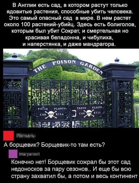 Картинки и мемы для настроения 024