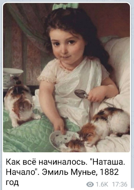15596947.png