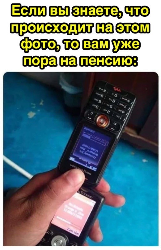 Весёлый полтишок 23.07
