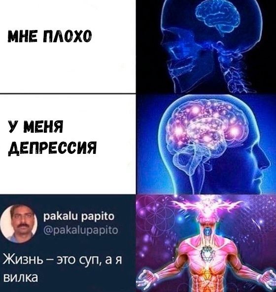 Весёлый полтишок 21.09