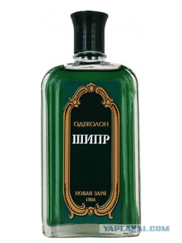 Какой парфюм носим