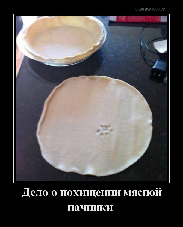 Весёлый полтишок 24.12