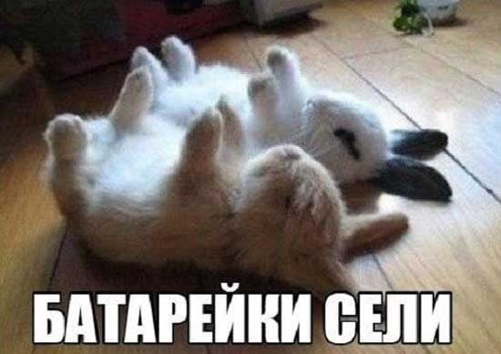 Так себе картинки 17.04.22