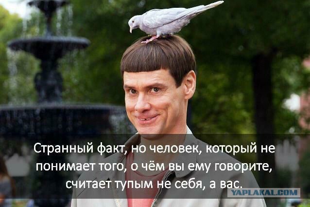 Пандемия съехавших крыш. Разновидности болезни. Россия и мир. Часть 36