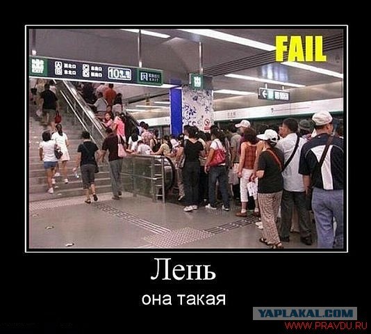 Общественный транспорт в Алжире