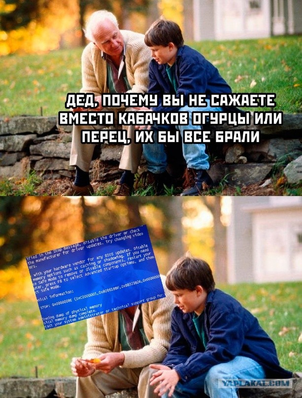 Весёлый полтишок 18.08.22