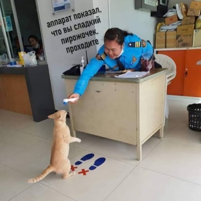 Картинки