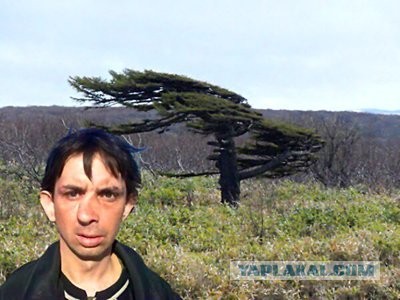 Чётко скатился