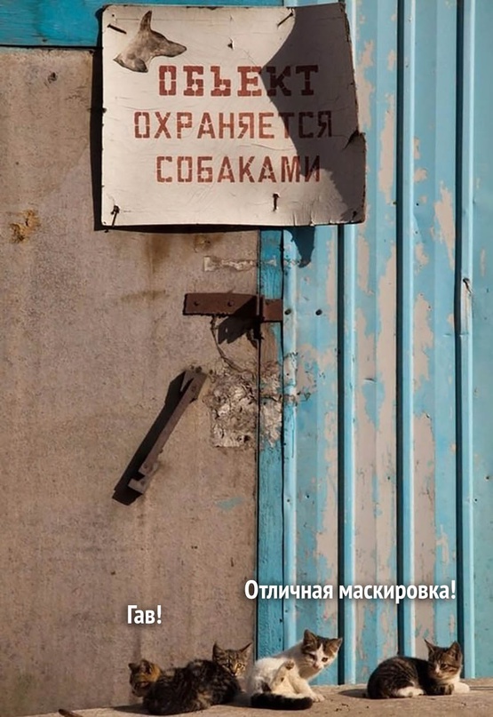 Весёлый полтишок 21.12.2022