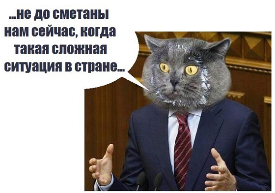 А пушистый хорошо пристроился!