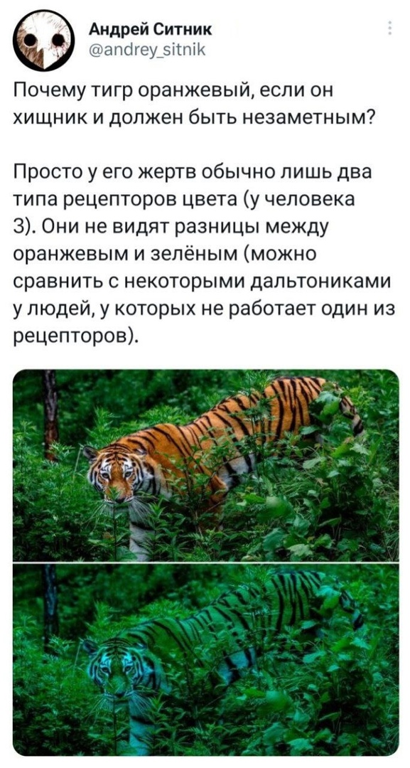 Так себе картинки 20.04.23